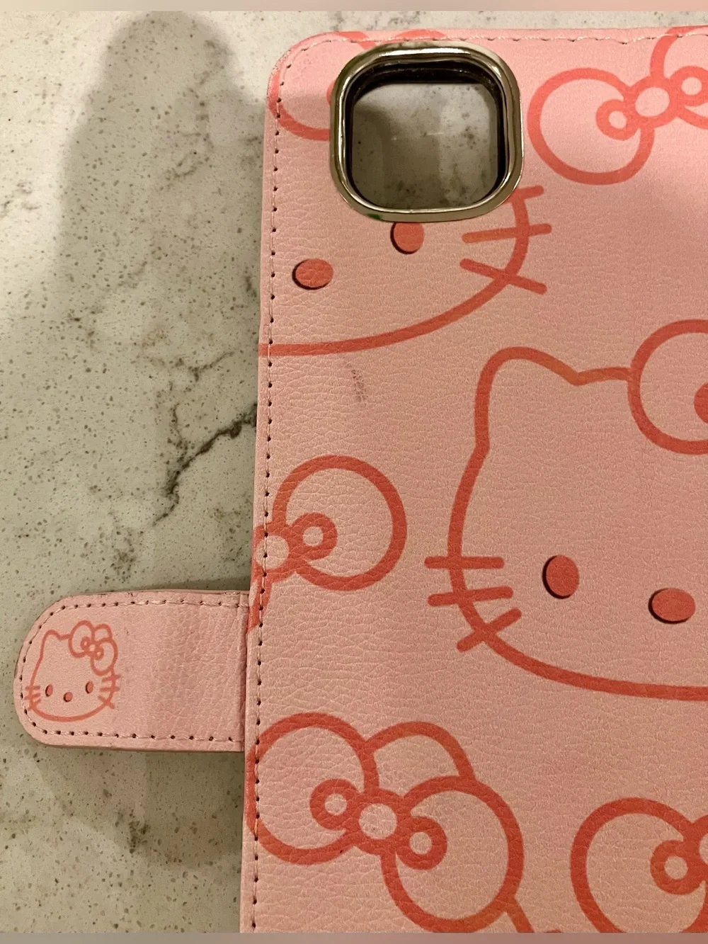 Hello Kitty case